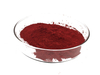 Pigment Red 8 Permanent Red F4R High Heat Resistance High Performance Pigment