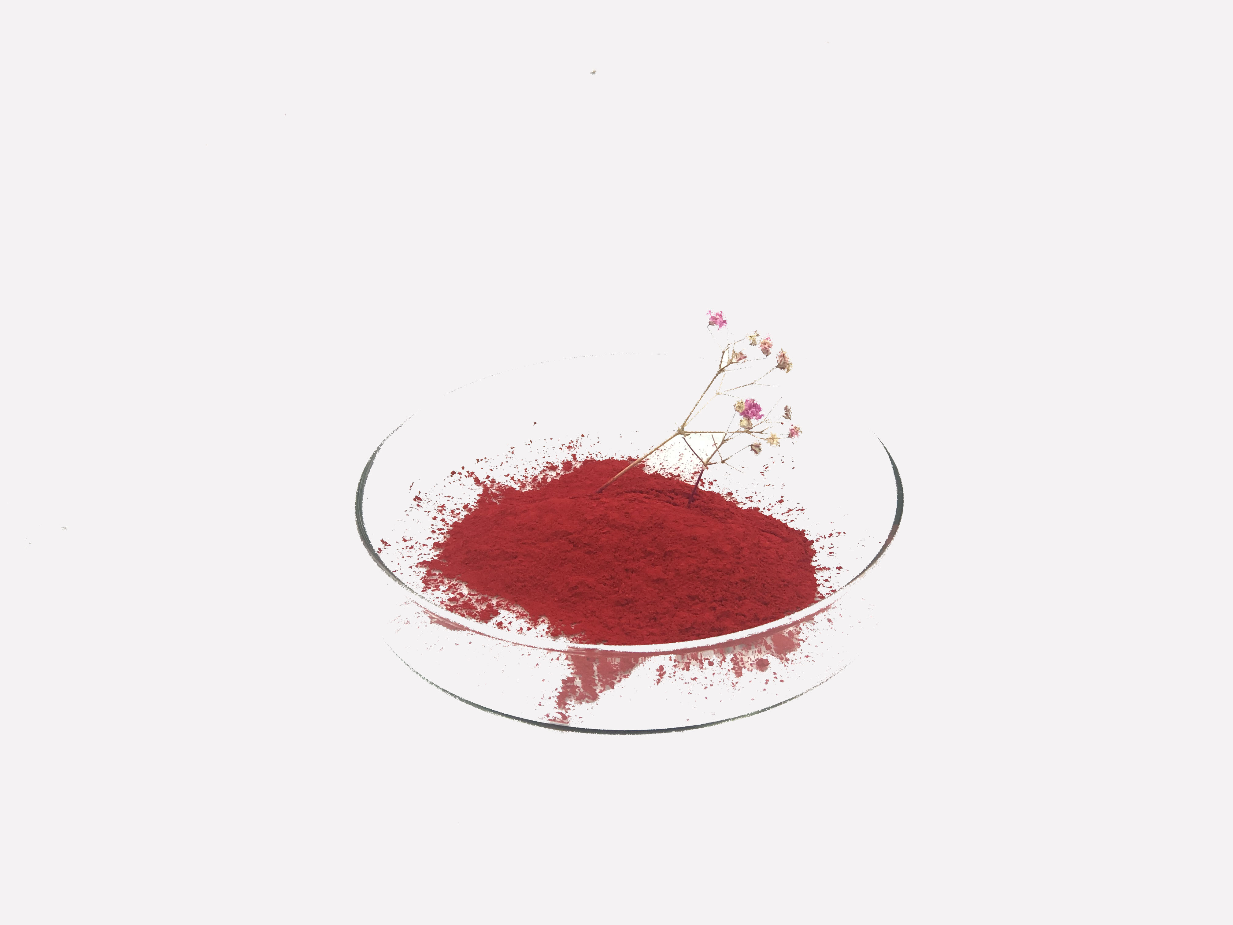 Red Color Top Quality Product High Purity And High Heat Resistance And High Acid Resistance for TPU Dyeing