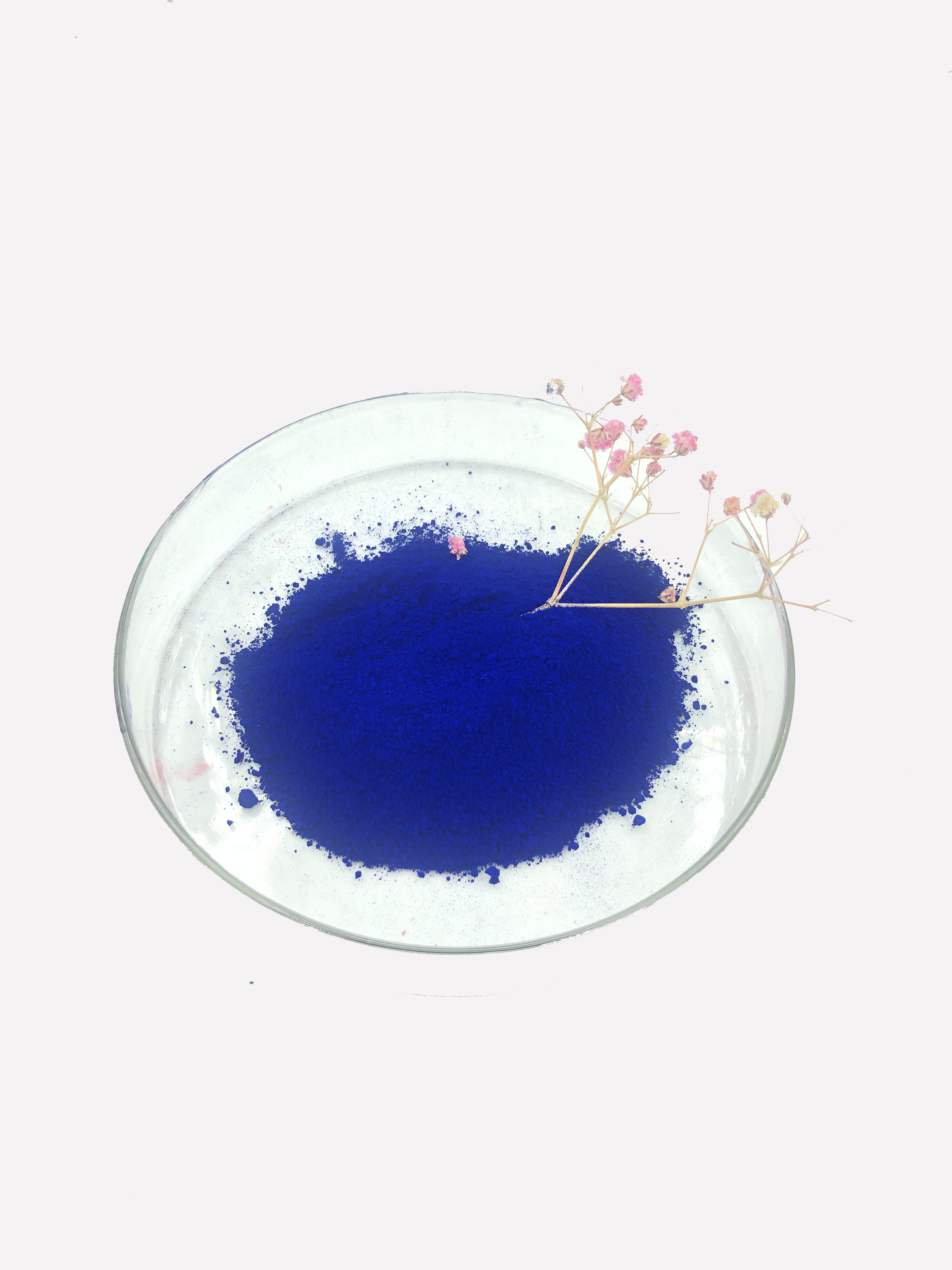 Pigment Blue 15:0 CAS 147-14-8 High Weather Resistance 100% Pure for Coating Ink And Plastic 