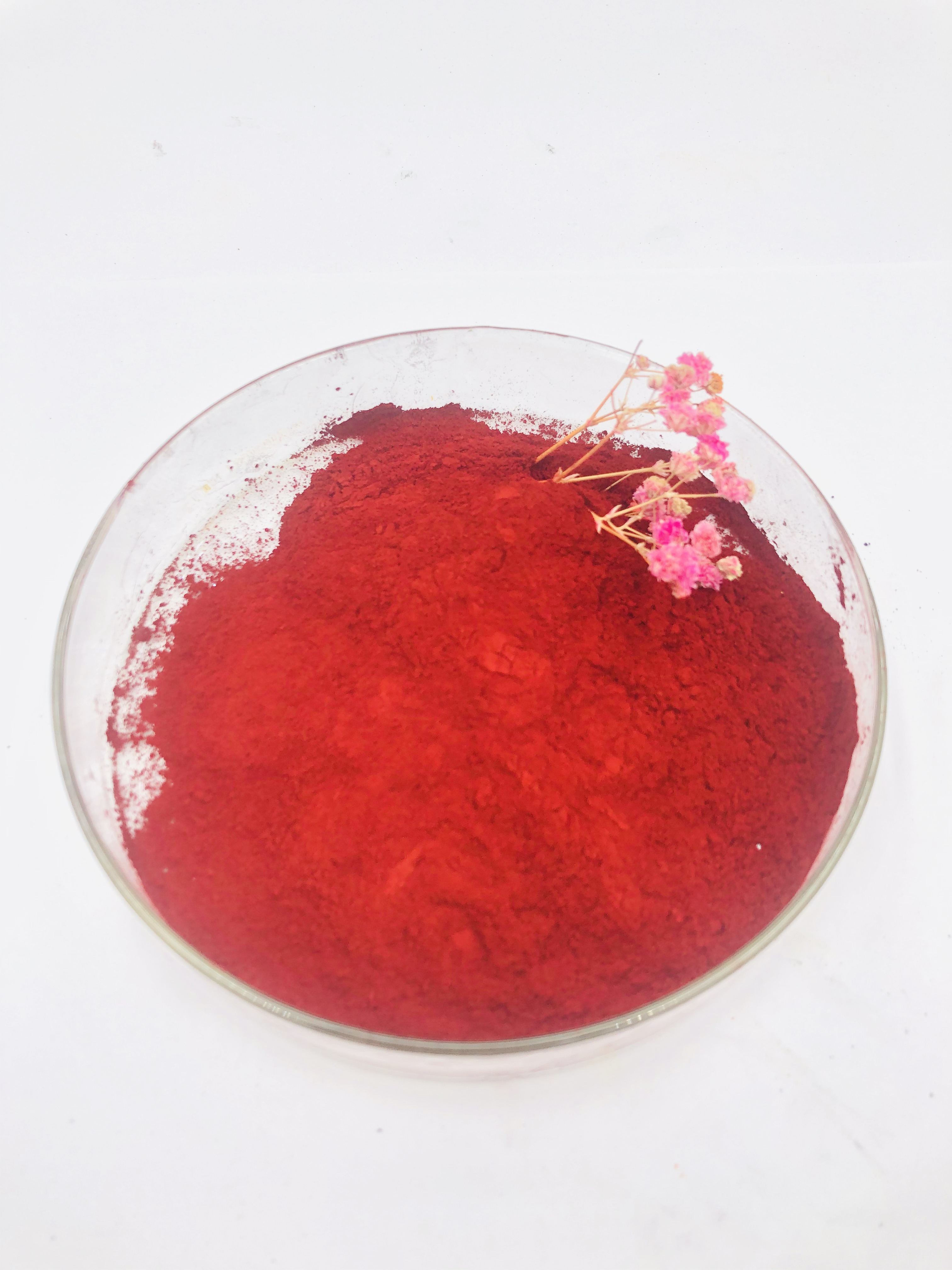 Red 8123 Dark Pink Powder Brilliant Light Fastness Mainly for Wax Coating Plastic